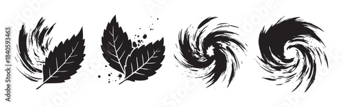 Abstract graphic elements set with stylized leaves and dynamic swirling brushstrokes in a monochrome black and white design for creative projects.
