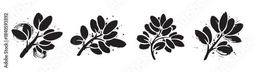Four stylized leafy branches illustration set featuring artistic ink brushstroke textures and organic natural shapes, creating a modern botanical design.