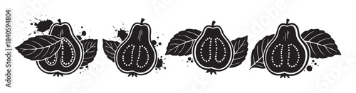 Guava fruit illustrations with leaves and ink splatters create a decorative graphic design element, perfect for tropical food and beverage branding.