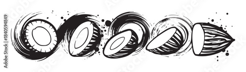 Coconuts in a dynamic artistic black and white brushstroke illustration style, depicting whole and halved tropical fruits with expressive ink splatters.