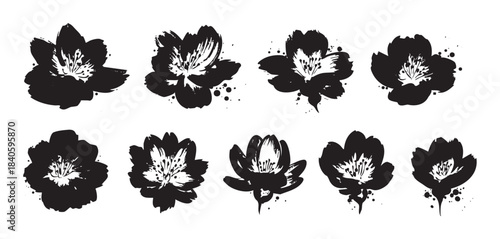 Black ink brush stroke floral illustrations set featuring a collection of abstract blooming blossoms with grunge texture and artistic splatters, perfect for decorative design elements.