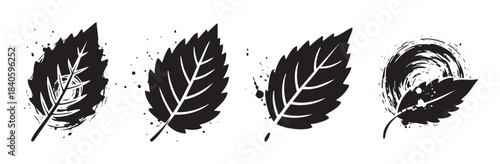 Four stylized black leaves with distinctive artistic textures and intricate vein patterns create a striking natural design element.