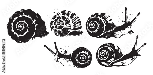 Snails and snail shells illustrated in a unique grungy black and white style, showcasing their intricate spiral patterns and slow movement.