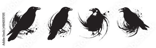 Four stylized black ravens are depicted in a grunge brushstroke art style with ink splatters and artistic flair, creating a mysterious and graphic illustration.