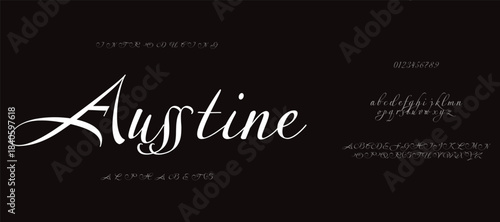 Austine is a sophisticated, elegant script that combines traditional and modern elements.