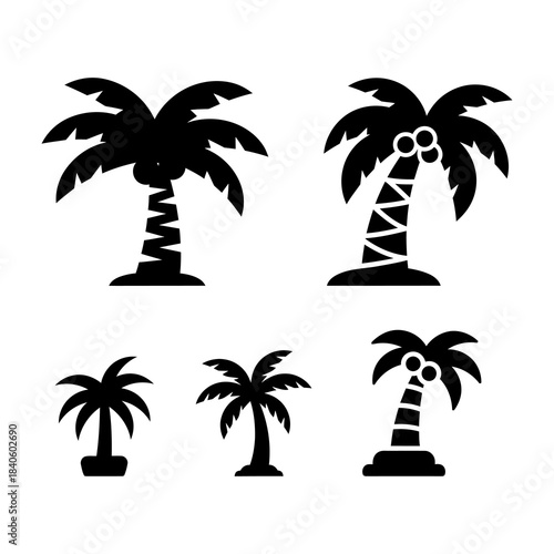 Tropical palm trees set silhouettes Black palm trees set isolated on white background. Palm silhouettes. Design of palm trees for posters, banners and promotional items.