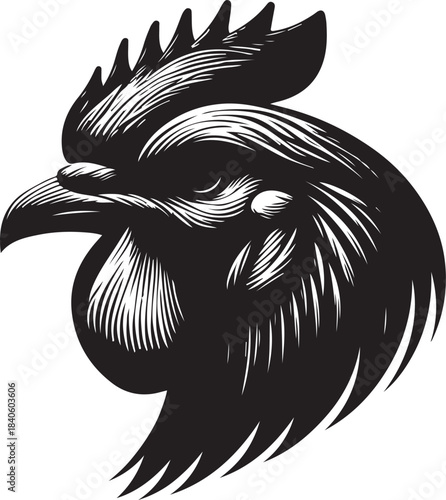 vector illustration of an eagle