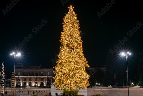 The Lions' Fountain in Piazza del Popolo, with the Christmas tree and its new decorations and lights in the background.