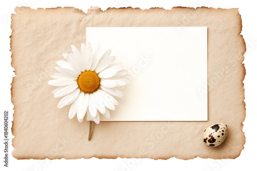 Minimalist Easter Card Mockup with Deckle Edge Paper and Single Dried Flower.