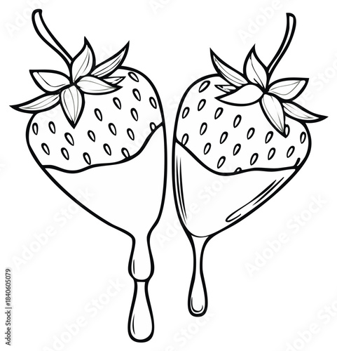Hand Drawn Outline of Two Chocolate Dipped Strawberries Sweet Dessert Treat