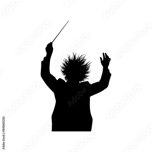 Dynamic Graphic Silhouette of a Charismatic Maestro with Electrifying Hair, Passionately Conducting an Invisible Orchestra with Energetic Movements and Artistic Expression