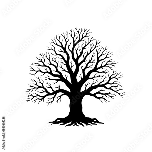 A silhouetted ancient oak tree with intricate branches and roots, representing nature and life cycles