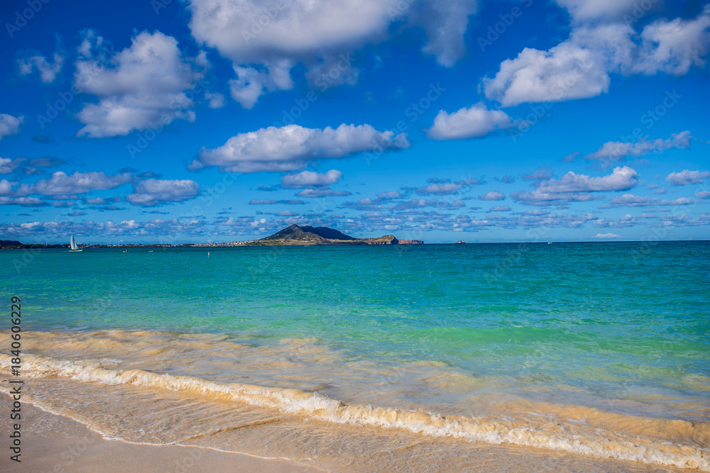 Obraz premium waves Hawaii