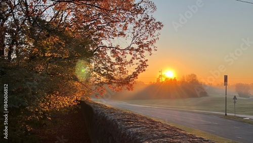  Misty sunrise over rural road with autumn tree, golden sunlight breaking through fog, creating atmospheric morning landscape scene