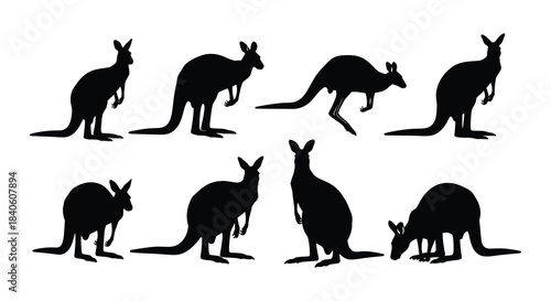 Silhouette illustrations of kangaroos in various poses and arrangements