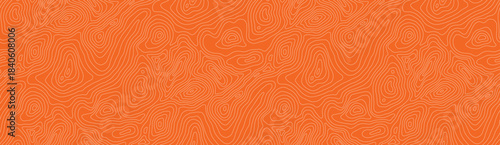 Bg pattern seamless and salmon tuna meat with texture line sushi. Fish abstract product and bg fresh structure with vector repeat pattern. Backdrop bg fillet and background salmon seafood.