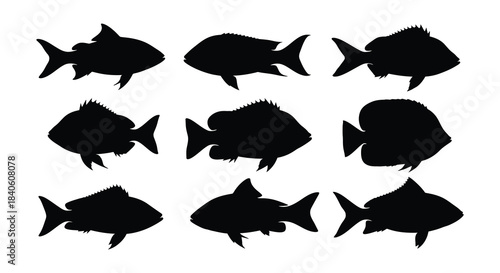 A collection of black silhouette fish arranged in a grid pattern