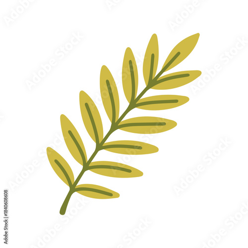 A branch with small green leaves arranged in pairs. A natural foliage element resembling a rowan or acacia leaf, perfect for spring, summer, or floral designs.