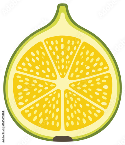 Slice of fig fruit featuring edible seeds, green skin, and yellow center, illustration
