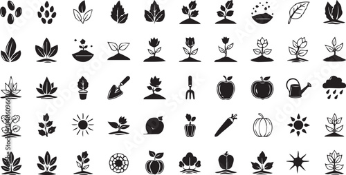 Nature and Organic Food Solid Icons Set