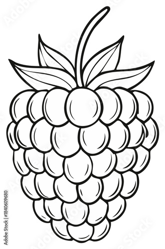 Line art illustration of a sweet ripe raspberry with stem and leaves for coloring activity
