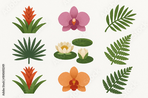 Brazilian Flora Icon Set Bromeliads Orchids Victoria Amazonica Water Lilies Palm Leaves Ferns Flat Vector Grid