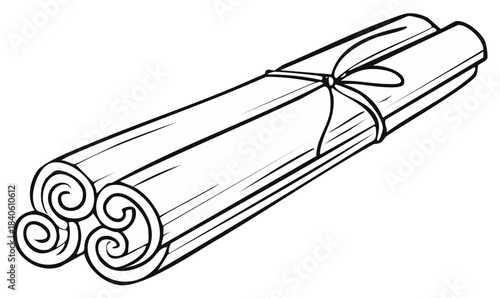 Rolled cinnamon sticks tied with a ribbon.  Spice illustration