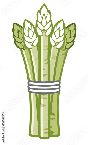 green asparagus bunch tied up clip art preview