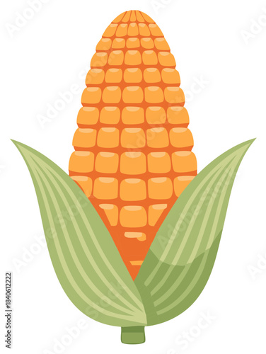 Cartoon-style illustration of an ear of corn with green leaves.