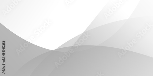 Abstract white and gray curve overlap background. texture white pattern. vector illustration