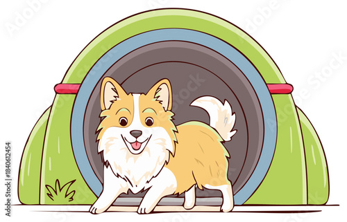 Happy Corgi Dog Entering Tunnel Pet Agility Training Course Illustration