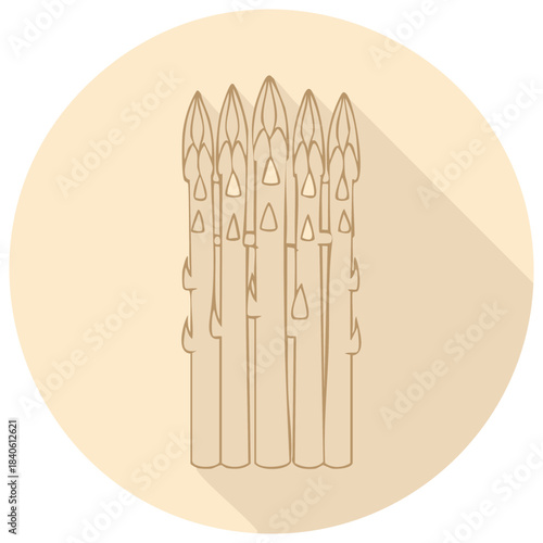 Minimalistic asparagus spears on beige background in flat design and line art