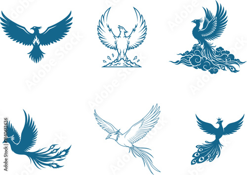 A magnificent collection of diverse phoenix bird vector illustrations showcasing mythical creatures
