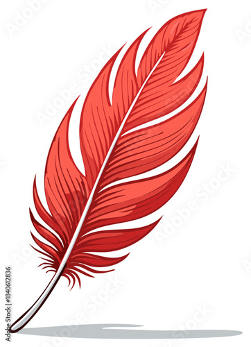 Detailed vector drawing of a red feather with an off-white spine casting soft shadow on a white background.