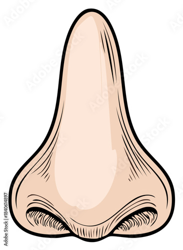 Illustration of a human nose with detailed lines, human anatomy, and medical illustration