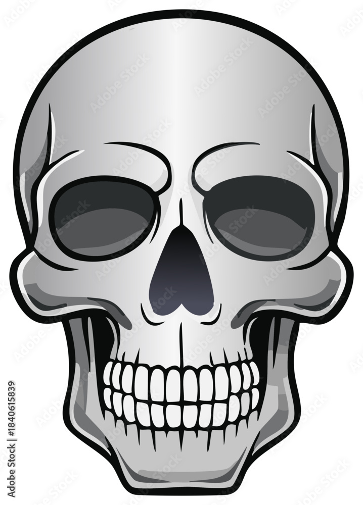 Fototapeta premium Stylized Human Skull with Detailed Teeth and Eye Sockets Vector Illustration
