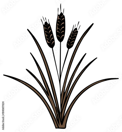 Simple Brown Wheat Stalks and Cereal Grains Graphic Illustration
