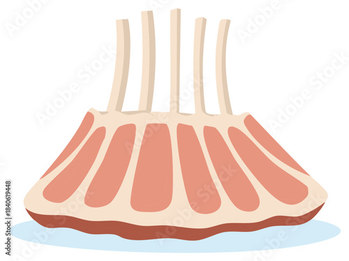 Stylized Rack of Lamb Illustration: Raw Meat with Rib Bones, Fresh Food Preparation Icon
