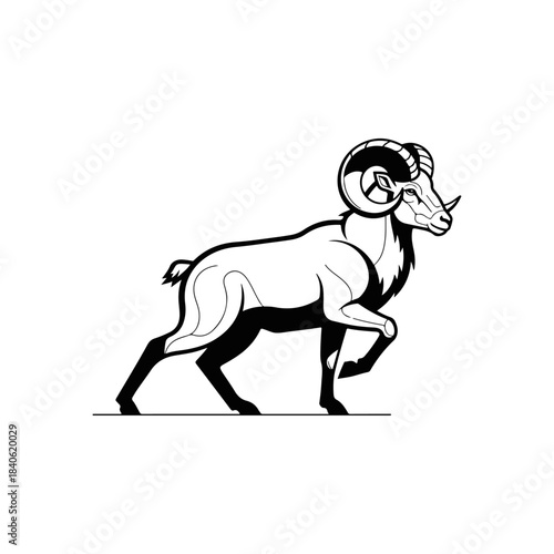 Majestic Bighorn Sheep Ram Striding Confidently.