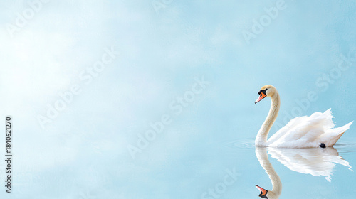 Graceful swan glides across serene water surface, reflecting its beauty against soft blue background, evoking tranquility and elegance