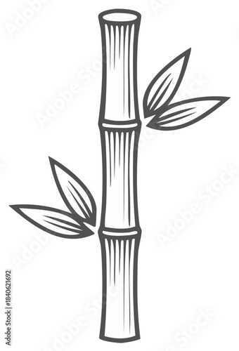 Stylized outline of bamboo stalk with leaves in monochrome dark gray line art