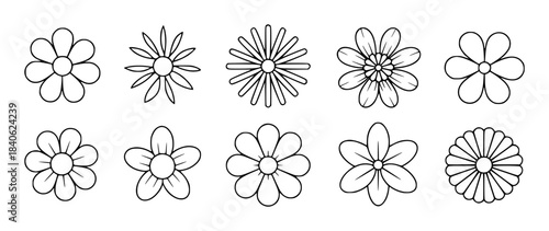 Ten black and white line flower with varied petals flowers