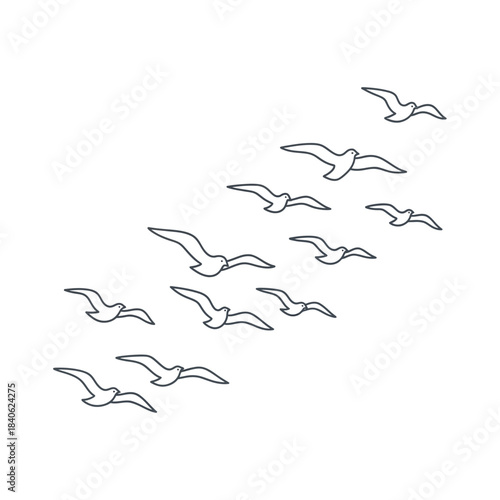 Flying Birds Minimal Line Vector
