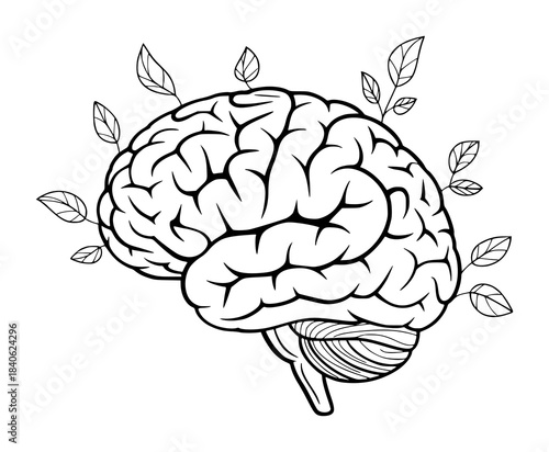 Black and white line of a human brain with leafy branches anatomy leaves