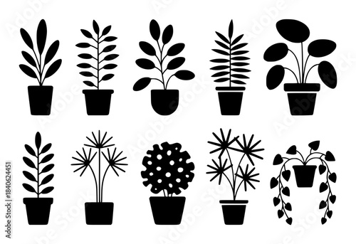 Black and white silhouette collection of ten potted houseplants silhouettes