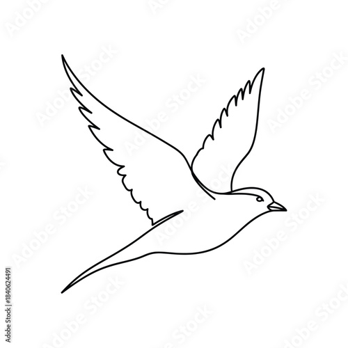 Flying Bird Outline Vector Sketch