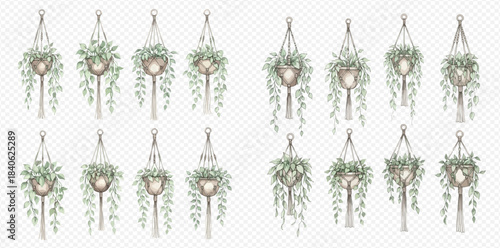 Set of watercolor hanging plants with macrame planters, green leaves, and home decor elements.