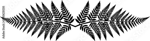 Symmetrical fern fronds in black and white creating a decorative botanical design element with sharp leaves