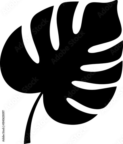Silhouette of a monstera leaf with distinct fenestrations and a stem on a white background design element