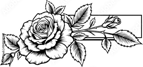 A beautiful rose with leaves and a rose bud in a black and white vector illustration art design